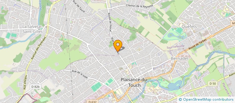 localisation de l'entreprise MONSIEUR PATRICE ICARD  LA SALVETAT-SAINT-GILLES