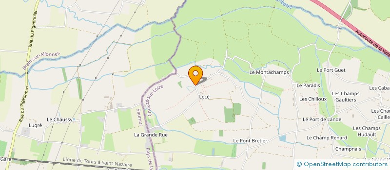 localisation de l'entreprise MONSIEUR PATRICE JACQUEMIN  CHOUZE-SUR-LOIRE