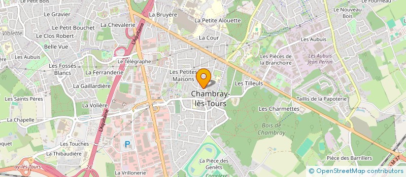 localisation de l'entreprise MONSIEUR PATRICE LUQUET  CHAMBRAY-LES-TOURS