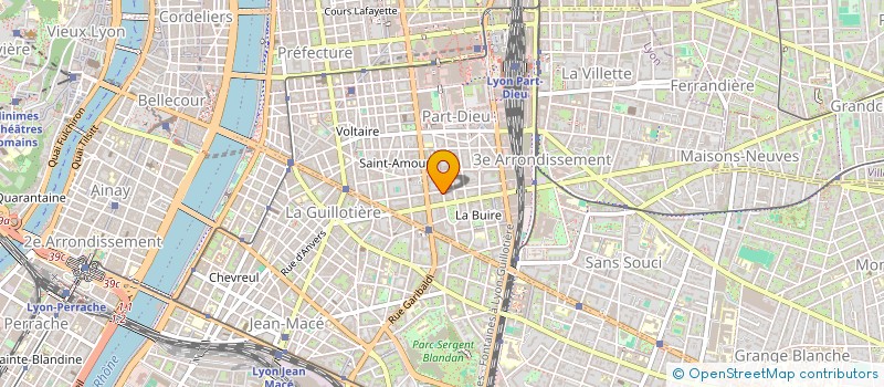 localisation de l'entreprise MONSIEUR PATRICE MIROUDOT  LYON