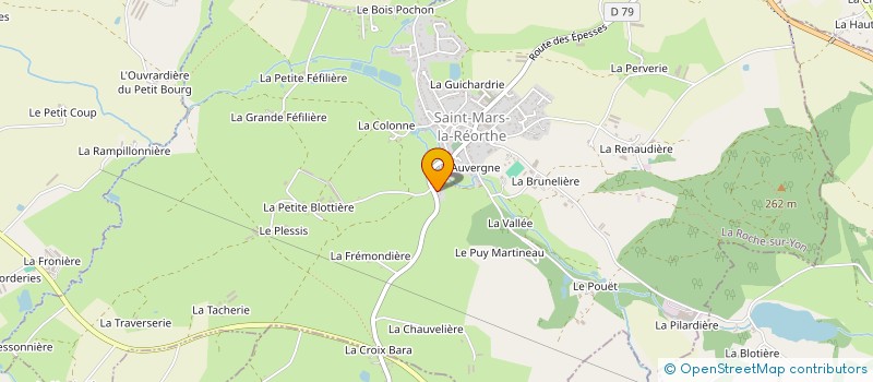 localisation de l'entreprise MONSIEUR PATRICE PARENT à SAINT-MARS-LA-REORTHE