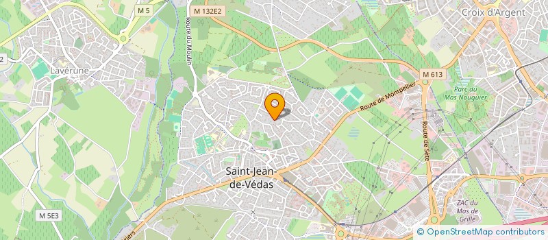 localisation de l'entreprise MONSIEUR PATRICE RAYNAUD  SAINT-JEAN-DE-VEDAS