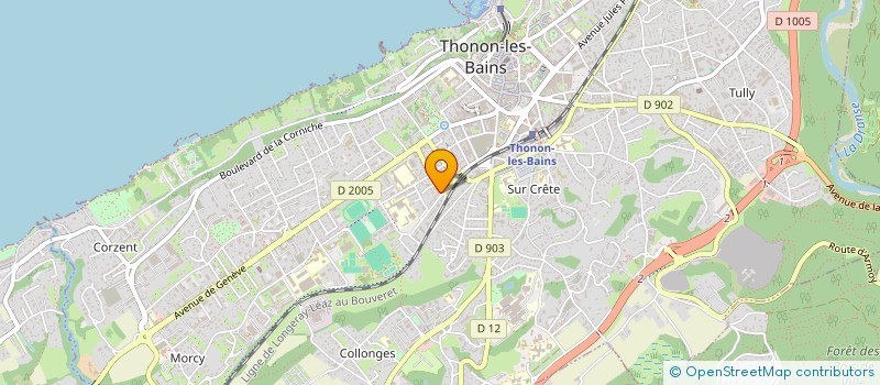 localisation de l'entreprise MONSIEUR PATRICE RICHARD à THONON-LES-BAINS