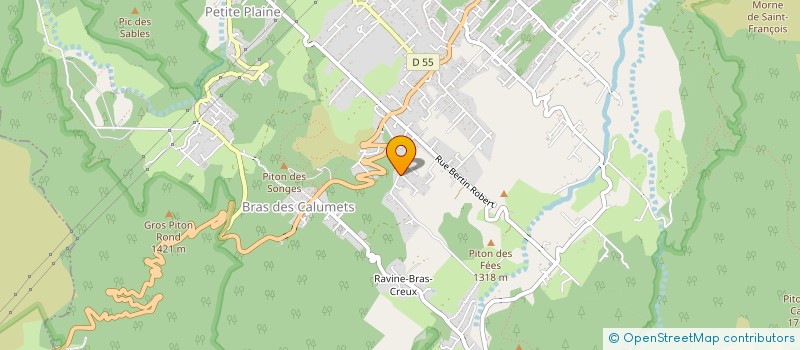 localisation de l'entreprise MONSIEUR PATRICE ROBERT  LA PLAINE-DES-PALMISTES