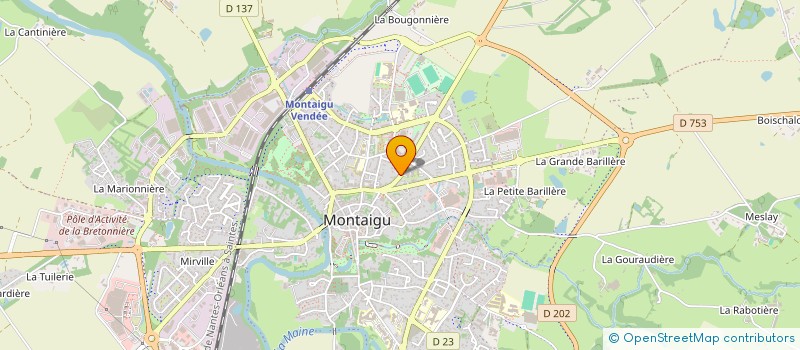 localisation de l'entreprise MONSIEUR PATRICE SAVARIEAU à MONTAIGU-VENDEE