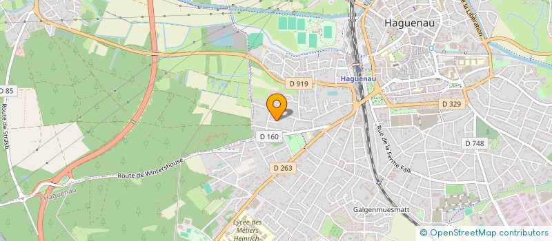 localisation de l'entreprise MONSIEUR PATRICE SCHOEFOLT  HAGUENAU