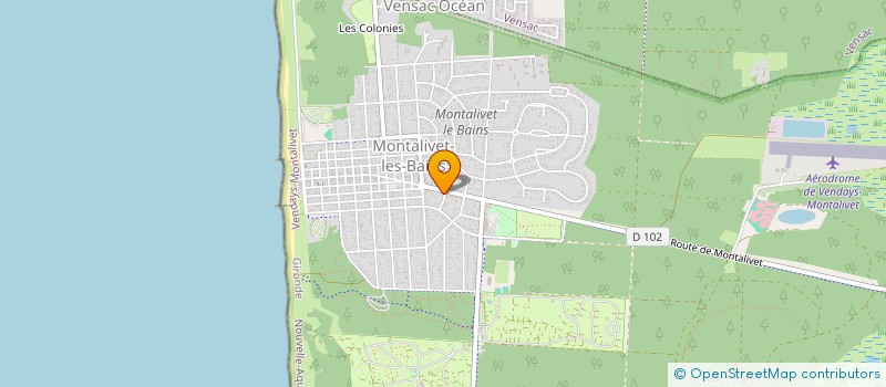 localisation de l'entreprise MONSIEUR PATRICE SOULE  VENDAYS-MONTALIVET