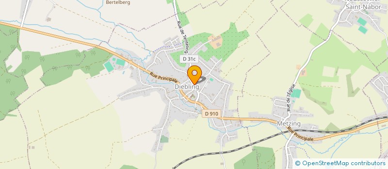 localisation de l'entreprise MONSIEUR PATRICE THINES  DIEBLING