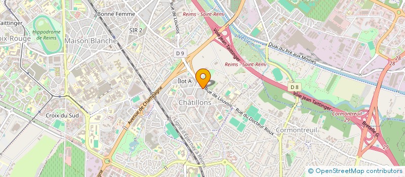 localisation de l'entreprise MONSIEUR PATRICIO PATRICIO PEDRO  REIMS