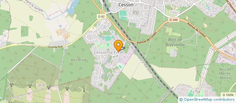 localisation de l'entreprise MONSIEUR PATRICK ADENIS  CESSON