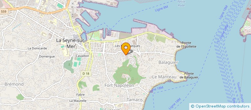 localisation de l'entreprise MONSIEUR PATRICK ALZAMORA à LA SEYNE-SUR-MER