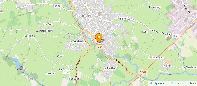 localisation de l'entreprise MONSIEUR PATRICK AUGIER  MORNANT