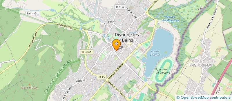 localisation de l'entreprise MONSIEUR PATRICK BARANSKI  DIVONNE-LES-BAINS