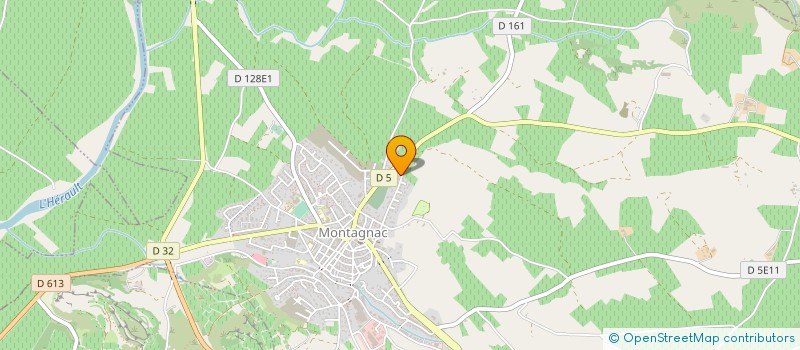 localisation de l'entreprise MONSIEUR PATRICK BARATTINI  MONTAGNAC