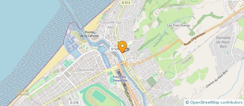 localisation de l'entreprise MONSIEUR PATRICK BLIGNY  TROUVILLE-SUR-MER