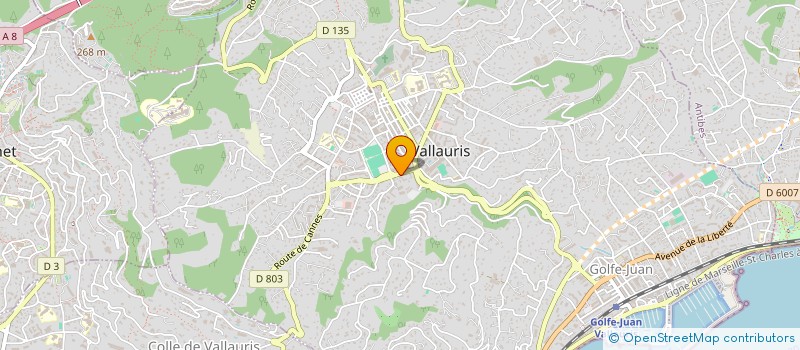 localisation de l'entreprise MONSIEUR PATRICK BOCCAROSSA  VALLAURIS