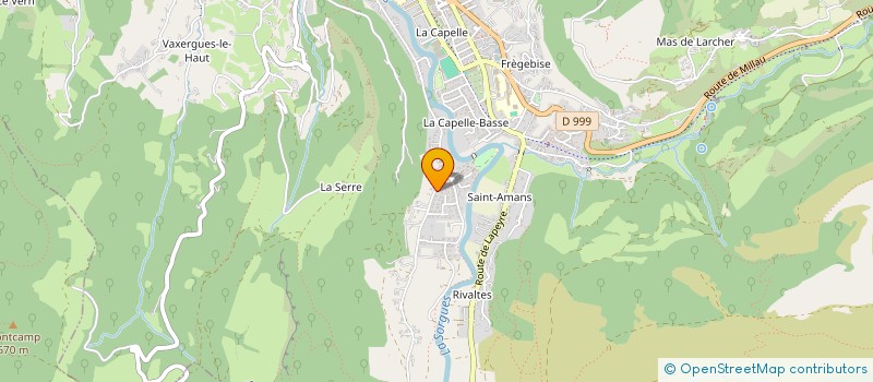 localisation de l'entreprise MONSIEUR PATRICK BORNE  SAINT-AFFRIQUE