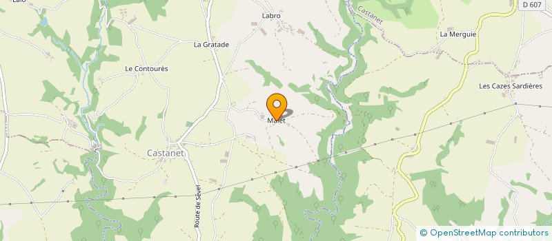 localisation de l'entreprise MONSIEUR PATRICK BOU  CASTANET