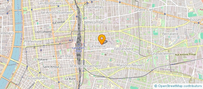 localisation de l'entreprise MONSIEUR PATRICK BOURDON  LYON