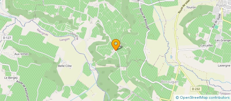 localisation de l'entreprise MONSIEUR PATRICK BOURRUST  SAINT-PEY-DE-CASTETS