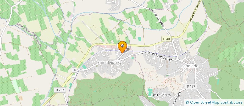 localisation de l'entreprise MONSIEUR PATRICK BRANDON  SAINT-DIONISY