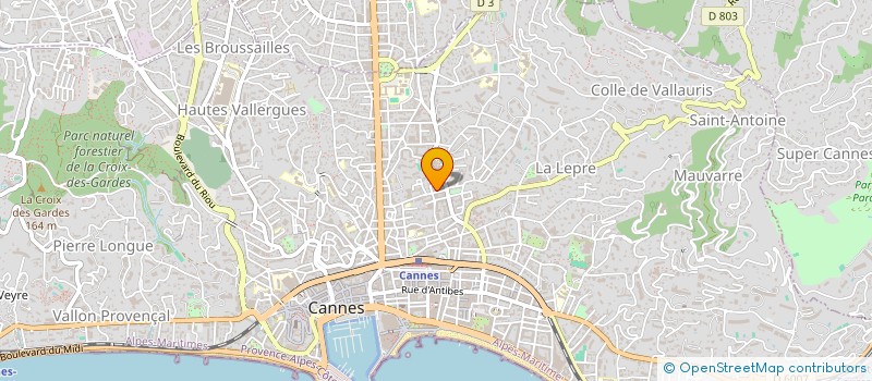 localisation de l'entreprise MONSIEUR PATRICK BUDAIL  CANNES