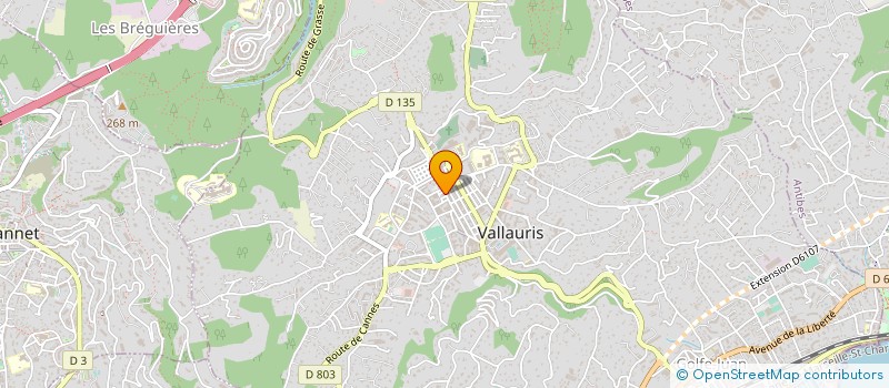 localisation de l'entreprise MONSIEUR PATRICK CARRE à VALLAURIS