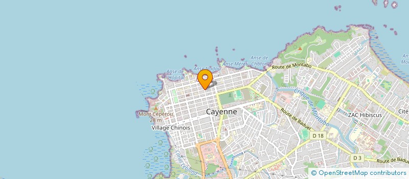 localisation de l'entreprise MONSIEUR PATRICK CEDIA  CAYENNE