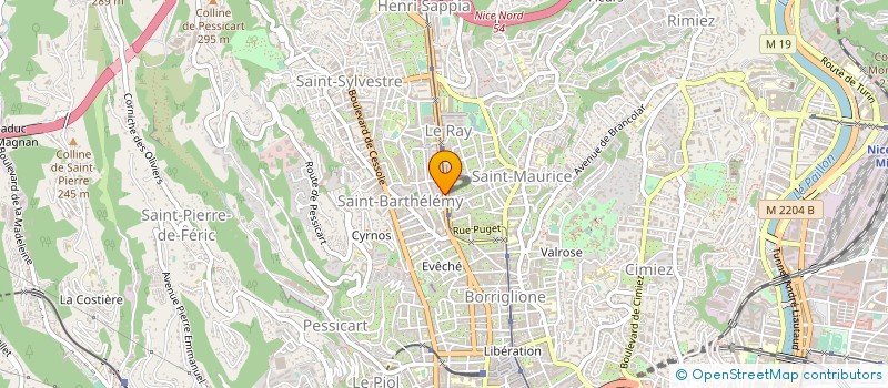 localisation de l'entreprise MONSIEUR PATRICK CHAPELLE à NICE