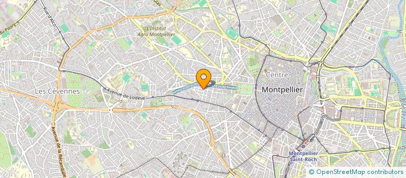 localisation de l'entreprise MONSIEUR PATRICK CHEVALLIER à MONTPELLIER