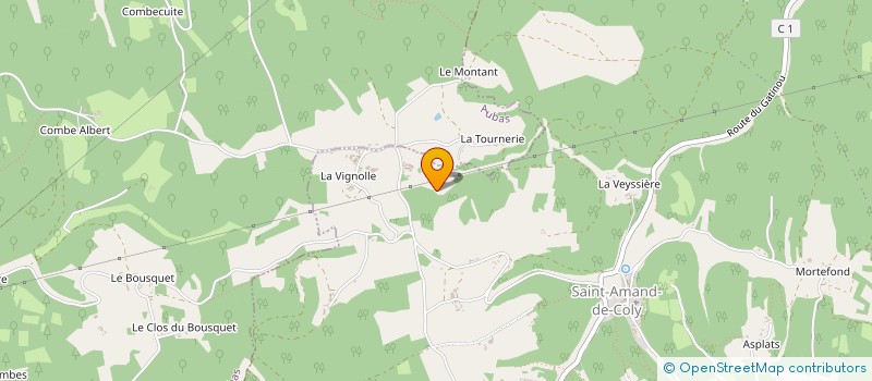 localisation de l'entreprise MONSIEUR PATRICK CHEYROU à MONTIGNAC-LASCAUX