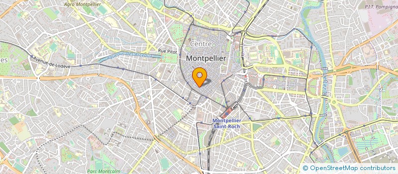 localisation de l'entreprise MONSIEUR PATRICK CHOLLAT-TRAQUET à MONTPELLIER