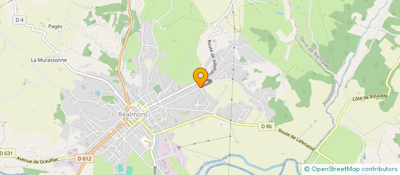 localisation de l'entreprise MONSIEUR PATRICK CHOUQUET  REALMONT