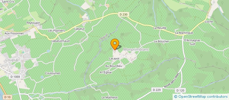 localisation de l'entreprise MONSIEUR PATRICK CHOUTARD  MONPRIMBLANC