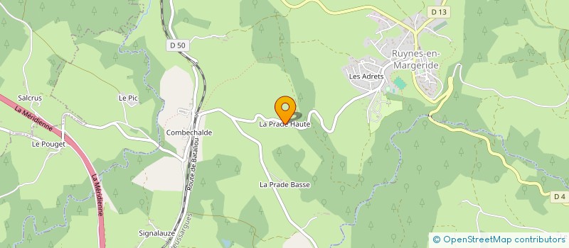 localisation de l'entreprise MONSIEUR PATRICK COMBES à RUYNES-EN-MARGERIDE
