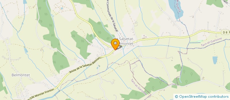 localisation de l'entreprise MONSIEUR PATRICK CREPIN  LA SALVETAT-BELMONTET