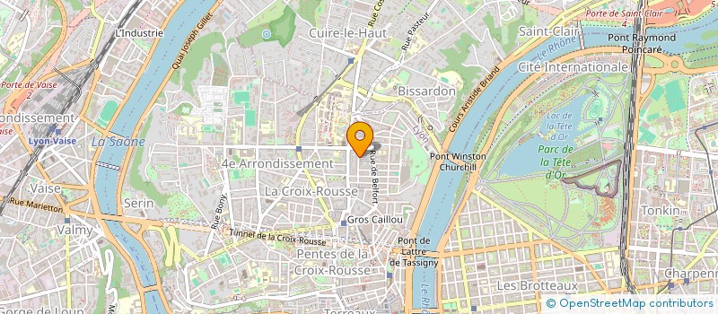 localisation de l'entreprise MONSIEUR PATRICK DAUPHIN à LYON