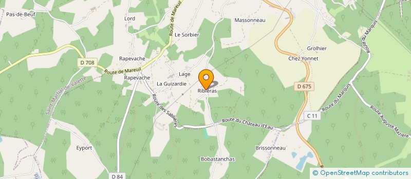 localisation de l'entreprise MONSIEUR PATRICK DELIEUVIN  SAINT-MARTIAL-DE-VALETTE