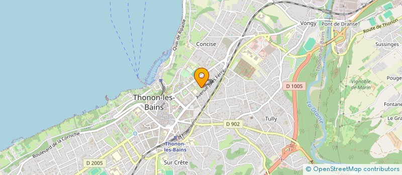 localisation de l'entreprise MONSIEUR PATRICK DESUZINGE à THONON-LES-BAINS