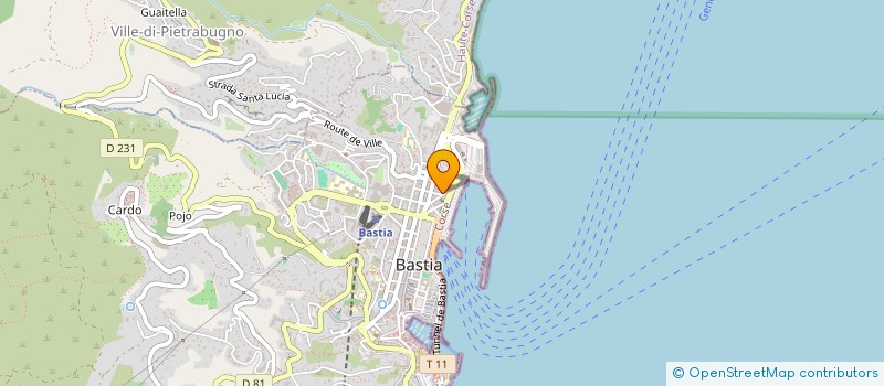 localisation de l'entreprise MONSIEUR PATRICK DOLORES à BASTIA