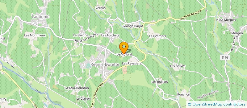 localisation de l'entreprise MONSIEUR PATRICK DUBOST  BEAUJEU