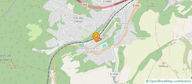 localisation de l'entreprise MONSIEUR PATRICK DUMOULIN  HOMBOURG-HAUT