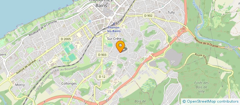 localisation de l'entreprise MONSIEUR PATRICK DVOSKINE à THONON-LES-BAINS