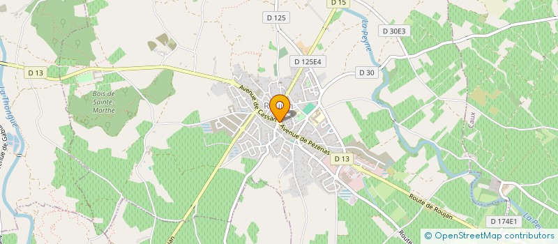 localisation de l'entreprise MONSIEUR PATRICK FAUVEAU  ROUJAN