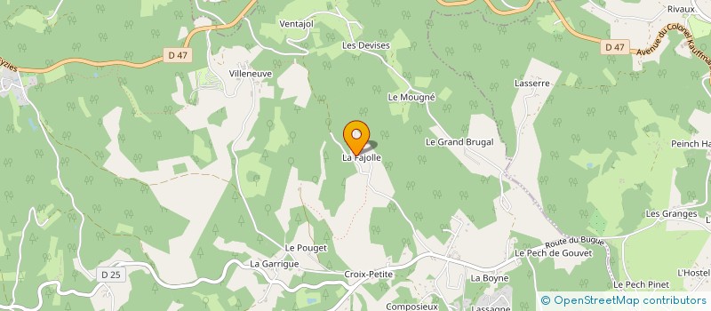 localisation de l'entreprise MONSIEUR PATRICK FERNANDES PALHA  SAINT-ANDRE-D'ALLAS