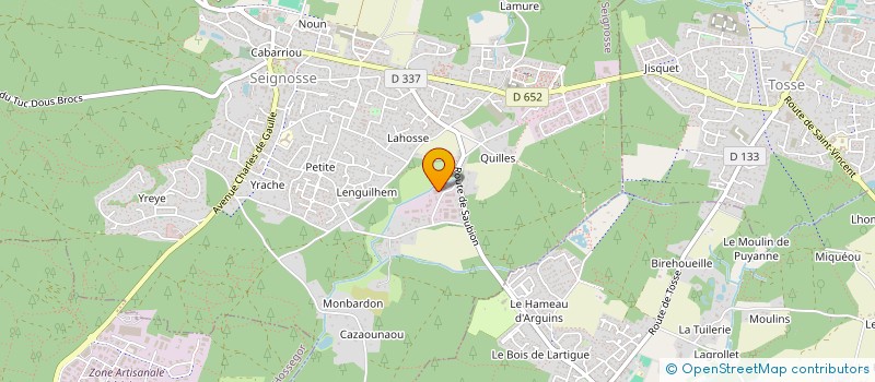 localisation de l'entreprise MONSIEUR PATRICK FLORES  SEIGNOSSE