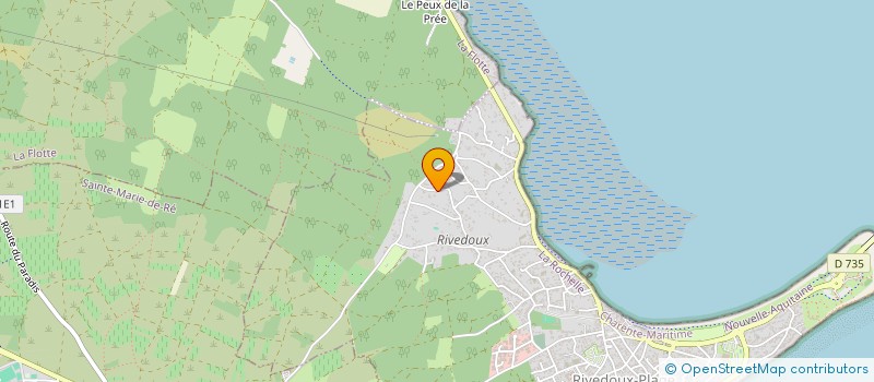 localisation de l'entreprise MONSIEUR PATRICK FOUCAULT  RIVEDOUX-PLAGE
