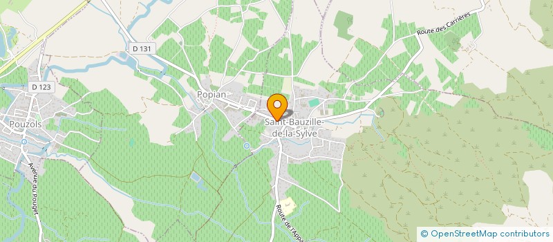 localisation de l'entreprise MONSIEUR PATRICK FOURNIER à SAINT-BAUZILLE-DE-LA-SYLVE