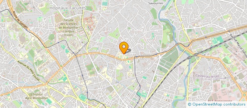 localisation de l'entreprise MONSIEUR PATRICK GIONCO à MONTPELLIER