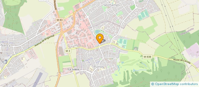 localisation de l'entreprise MONSIEUR PATRICK GROSDIDIER  PULNOY